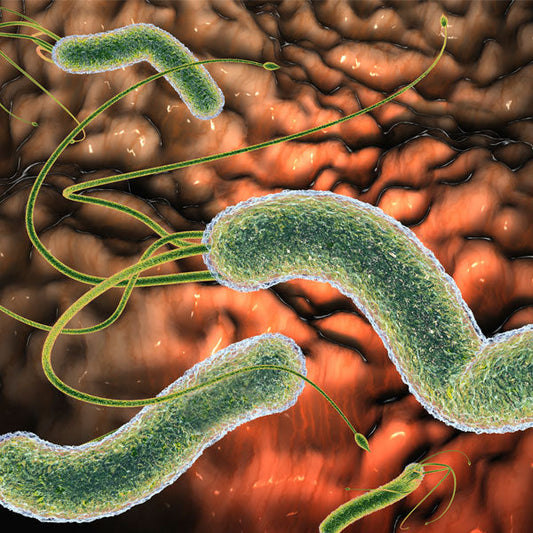 Globalne badania pokazują rosnącą oporność na zakażenia Helicobacter pylori u dzieci