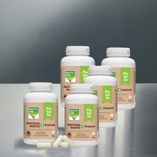 Mastyks+ Prebiotic Economy długotrwała terapia z Mastyksem (800 kapsułek) Masticlife
